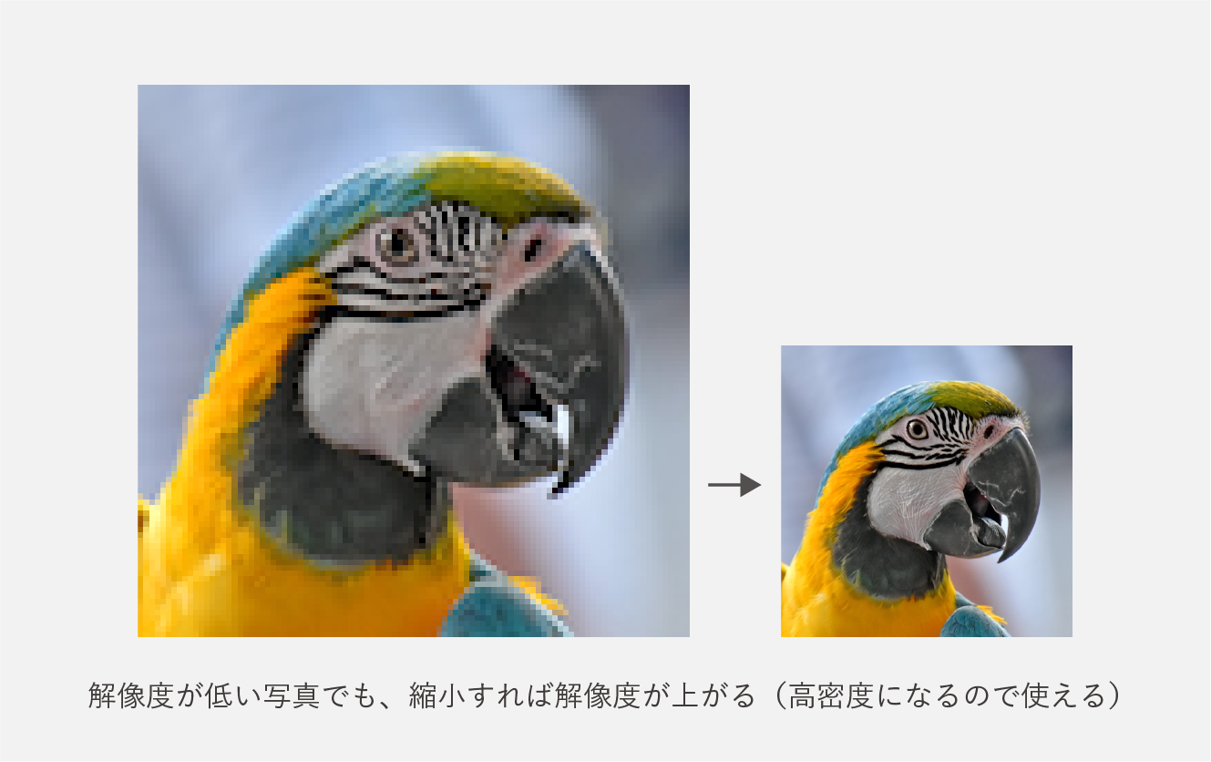 解像度と実寸とは 紙袋と印刷の用語集